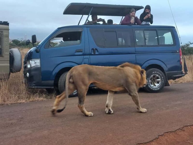 Nairobi: National Park Half-Day Game Drive Guided Tour - Why Choose This Tour?