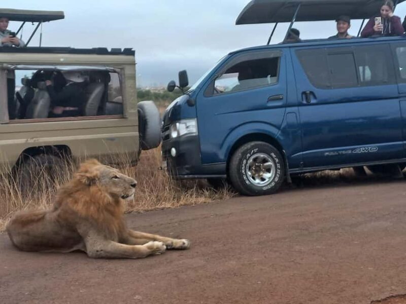 Nairobi: National Park Half-Day Game Drive Guided Tour - FAQs