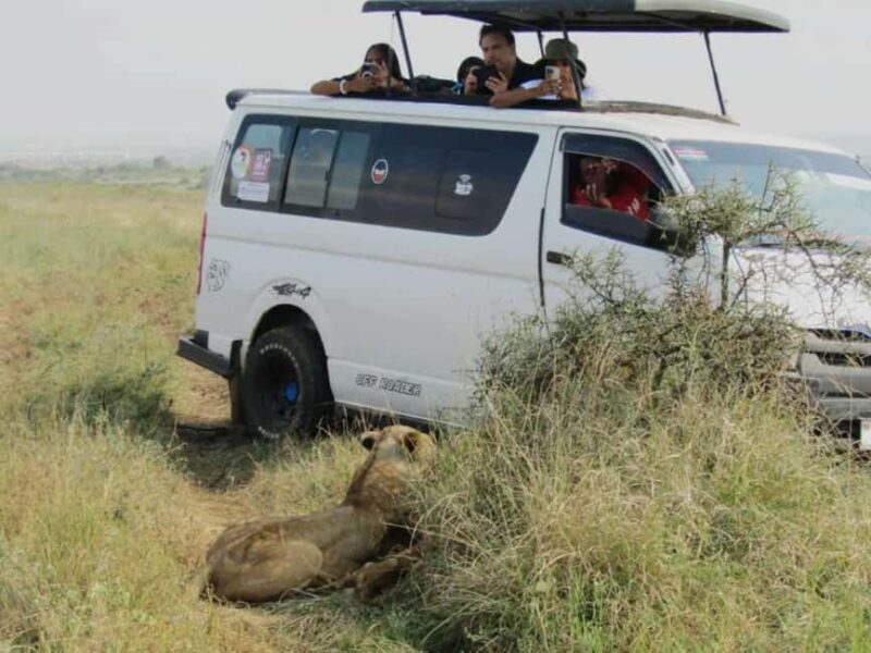 Nairobi National Park Half-Day Game Drive Tour With Pickup - Transportation and Comfort