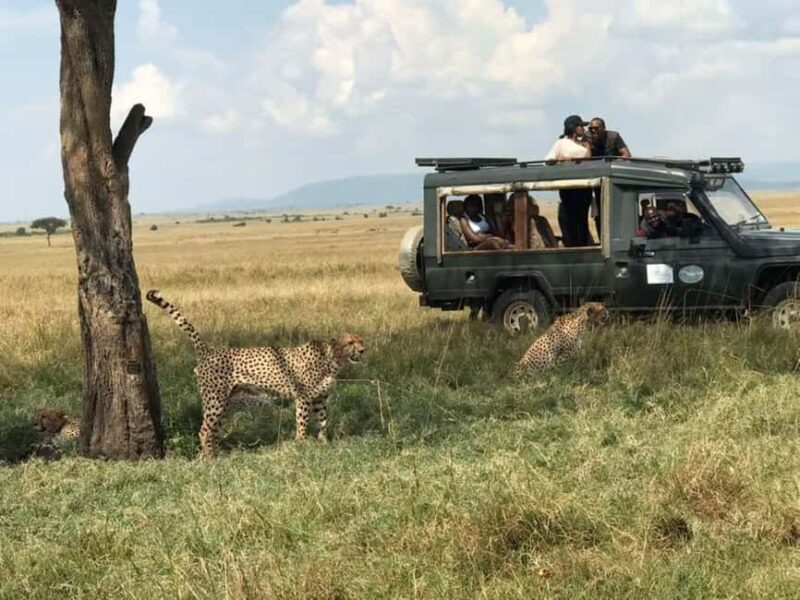 Nairobi National Park: Half Day Group Tour With Pickup - Who Should Consider This Tour?