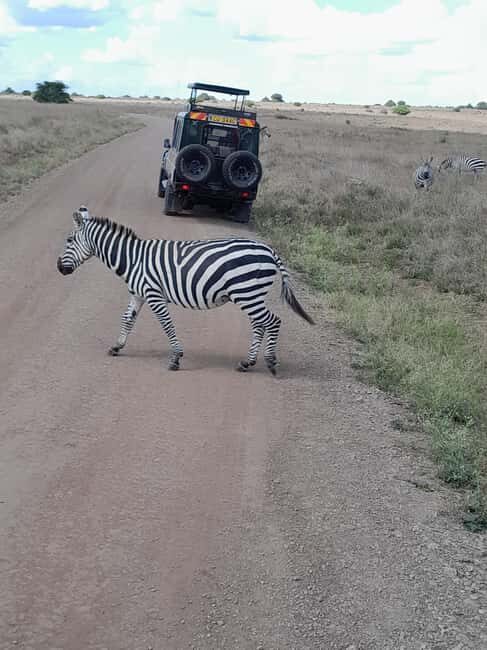 Nairobi National Park: Half-Day Group Tour with Pickup - FAQ