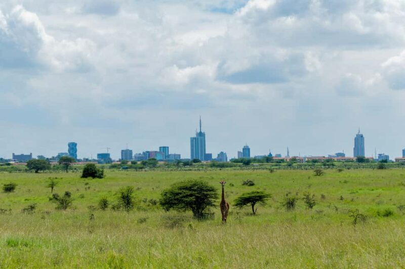 Nairobi: National Park Half-Day Group Trip with Pickup - Key Points