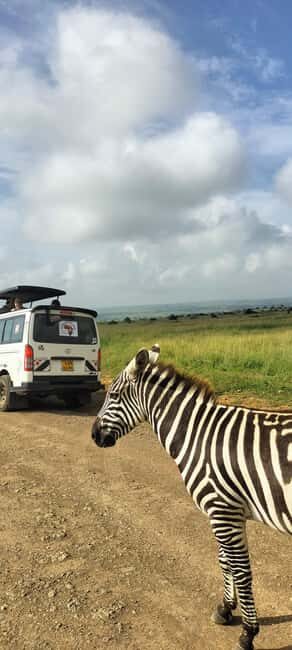 Nairobi National Park Half-Day Guided Game Drive With Pickup - Post-Drive Experience & Optional Activities