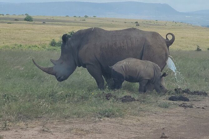 Nairobi National Park Half Day Tour - What’s Included and What’s Not