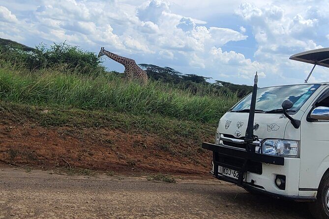 Nairobi National Park Half Day Tour - Practical Tips for Travelers
