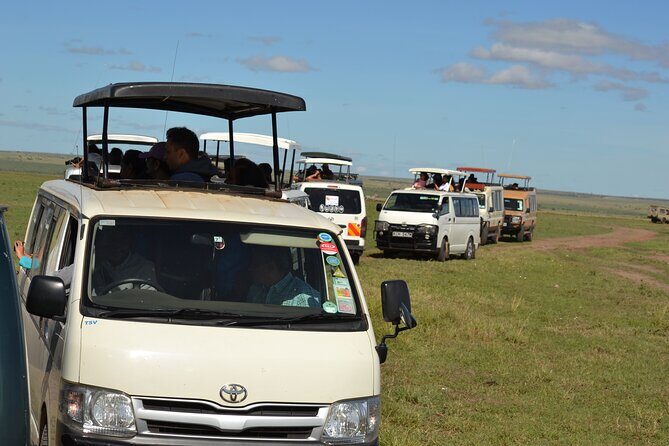 Nairobi National Park Half Day Tour - An Overview of the Nairobi National Park Half Day Experience