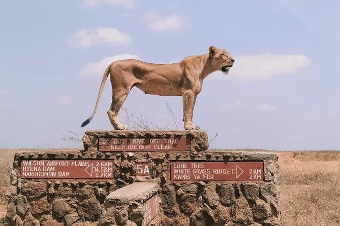 Nairobi National Park Half-Day Tour; Free Wi-Fi connection - Key Points