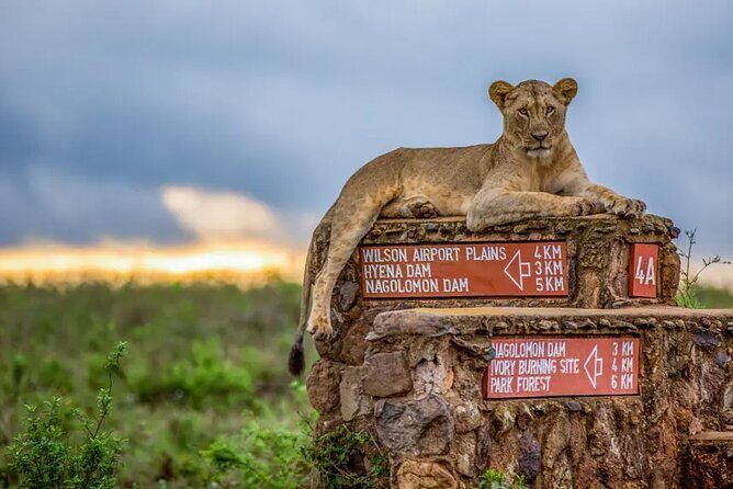 Nairobi National Park half-Day Tour; Free wifi Connection - FAQ