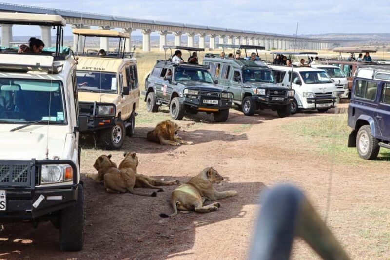 Nairobi National Park Half Day Tour &Kazuri Beads Factory - Overall Value and Who It Suits Best