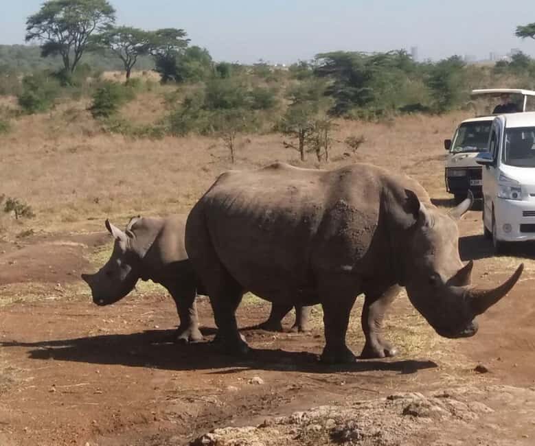 Nairobi: National Park Half-Day Tour with Free Wifi - Why Choose This Experience?