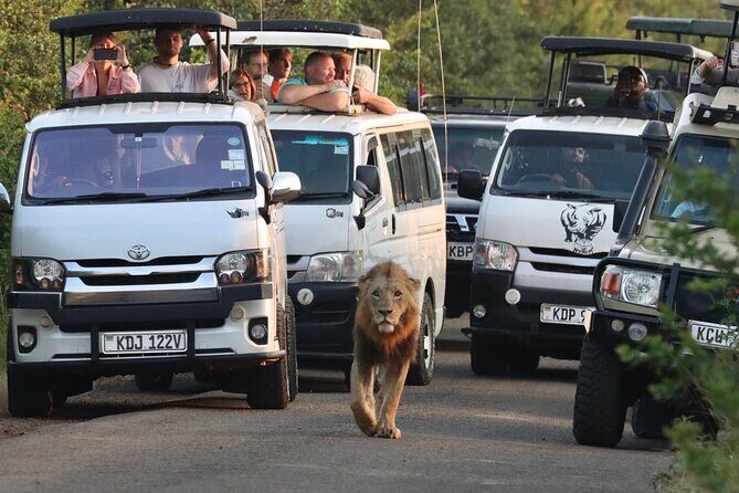 Nairobi National Park Half Day Tour with Landcruiser with Pickup - Who Would Enjoy This Tour?