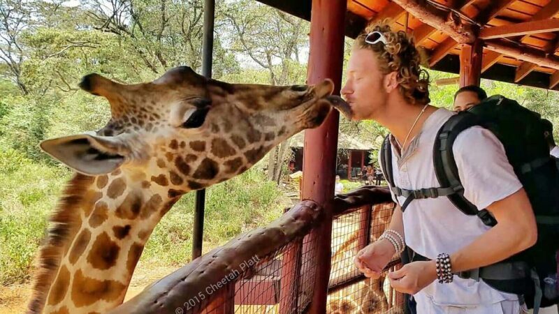 Nairobi: National Park & Optional Elephants & Giraffe Center - FAQs