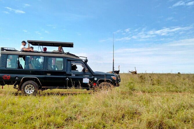 Nairobi National park private day tour - Final Words