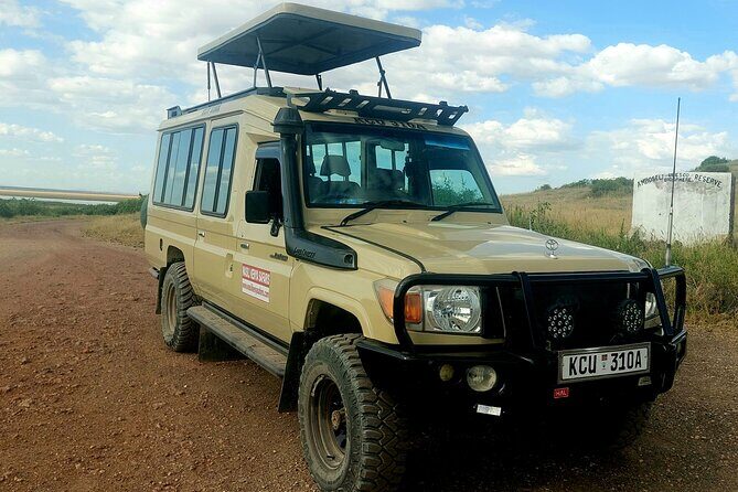 Nairobi National Park private safari in a 4*4 landcruiser - The Practical Side: What You Need to Know