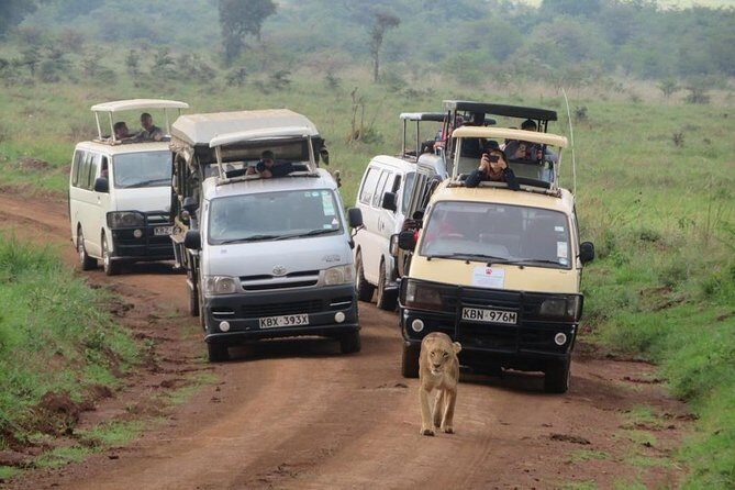 Nairobi National Park, Sheldrick Elephant, Giraffe Centre Tour - FAQs
