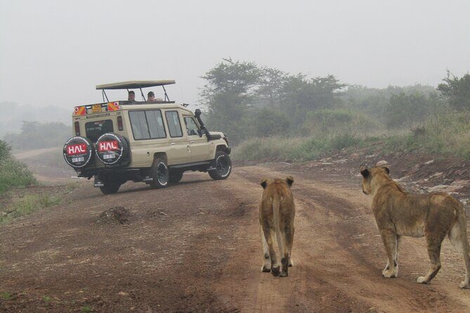 Nairobi National Park Sheldrick & Giraffe Centre Day Trip - Bomas of Kenya: A Cultural Showcase  