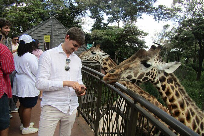 Nairobi National Park Sheldrick & Giraffe Centre Day Trip - What’s Included and What to Consider  