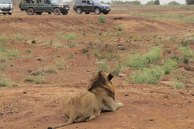 Nairobi National Park Sheldrick & Giraffe Centre Day Trip - Authenticity and Expertise  