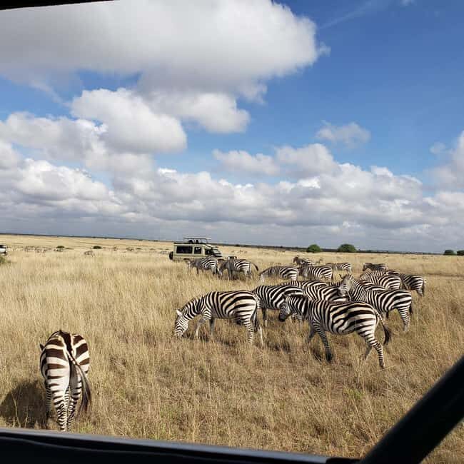 Nairobi National Park Sunrise or Sunset Game Drive Options - Key Points