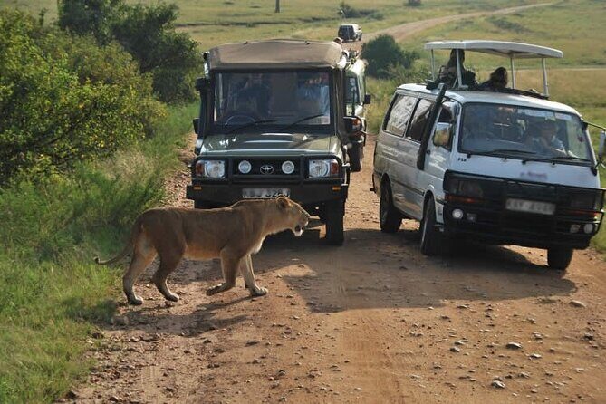 Nairobi National Park Tour - FAQ
