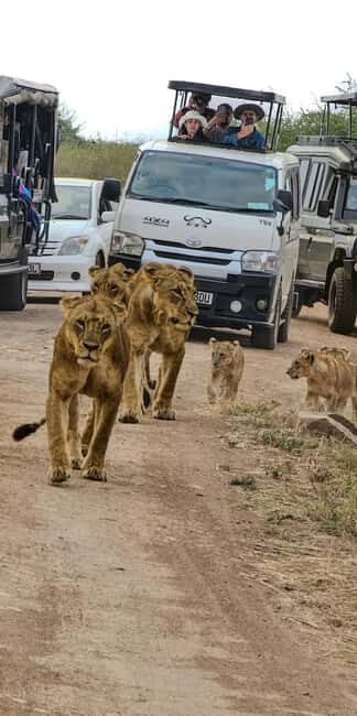 Nairobi National Park: Tour "World's Only Wildlife Capital" - Key Points 