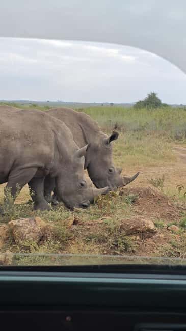 Nairobi National Park: Tour "World's Only Wildlife Capital" - The Experience Provider: Miale Savanna