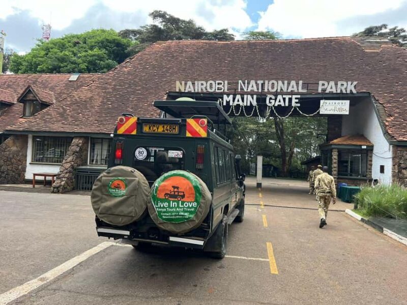 Nairobi National Park: with an open pop roof jeep - The Experience of Wildlife Sightings