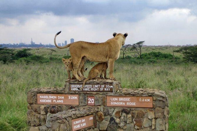 Nairobi National Park,Elephant Orphanage, Giraffe Center and Karen Blixen Museum - Practical Details and Tips