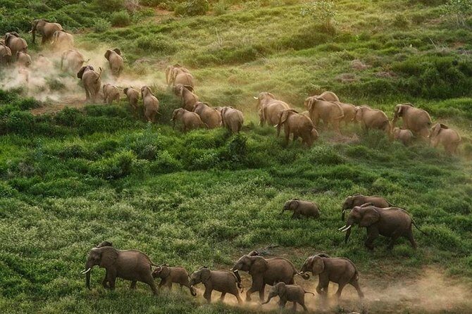 Nairobi National Park,Elephant Orphanage, Giraffe Center and Karen Blixen Museum - Who Will Love This Tour?