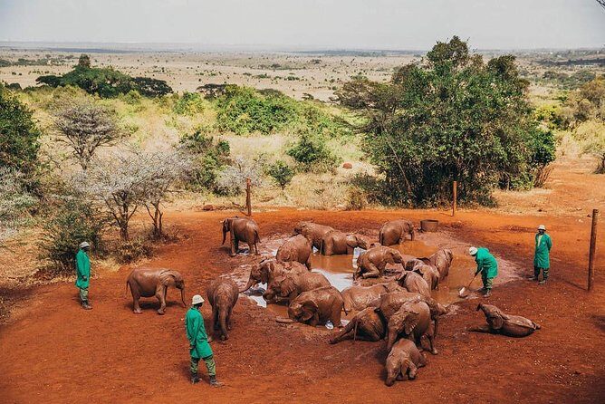 Nairobi National Park,Elephant Orphanage, Giraffe Center and Karen Blixen Museum - FAQ