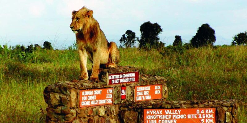 Nairobi National Park,Giraffe Center and Lunch at Carnivore - FAQ