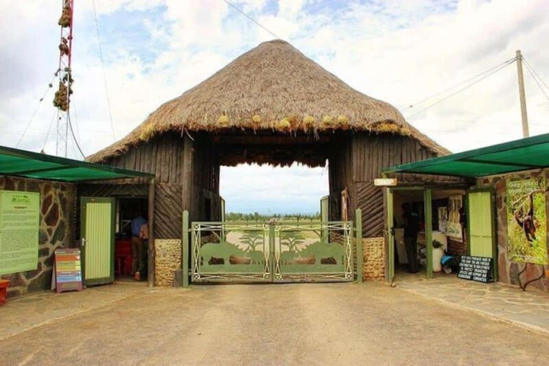 Nairobi: Ol Pejeta Day Tour from Nairobi - An In-Depth Look at the Ol Pejeta Day Tour