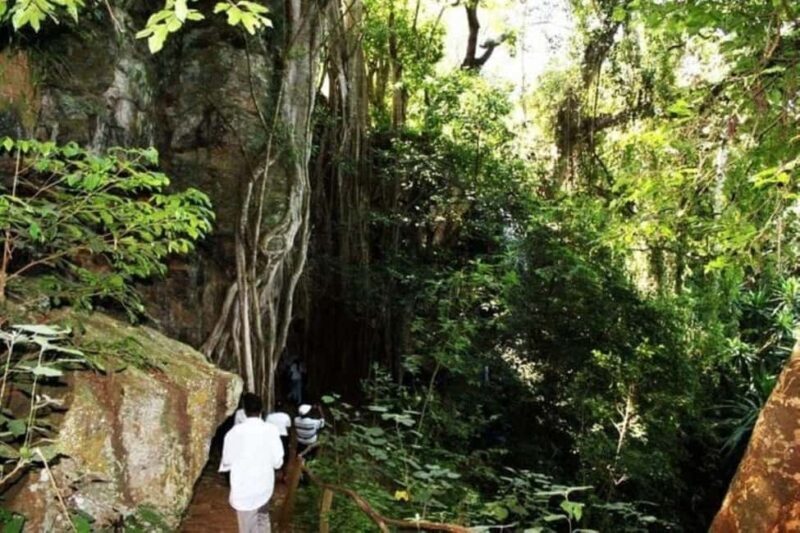 Nairobi: Paradise Lost Recreational Day Trip - What Makes It Special?