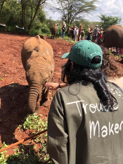 Nairobi Park, Elephant Sanctuary, & Giraffe Center Tour - Exploring Nairobi National Park