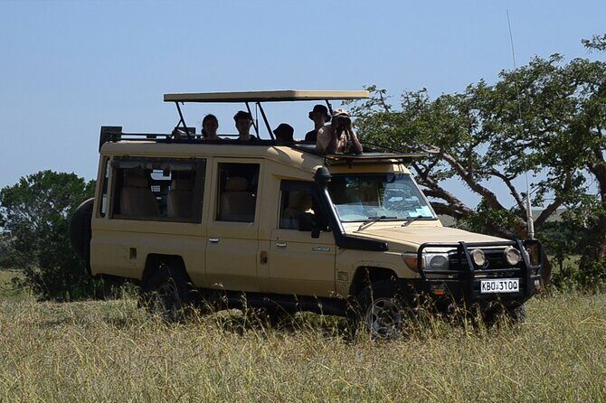 Nairobi Park Wildlife Safari - The Experience in Detail