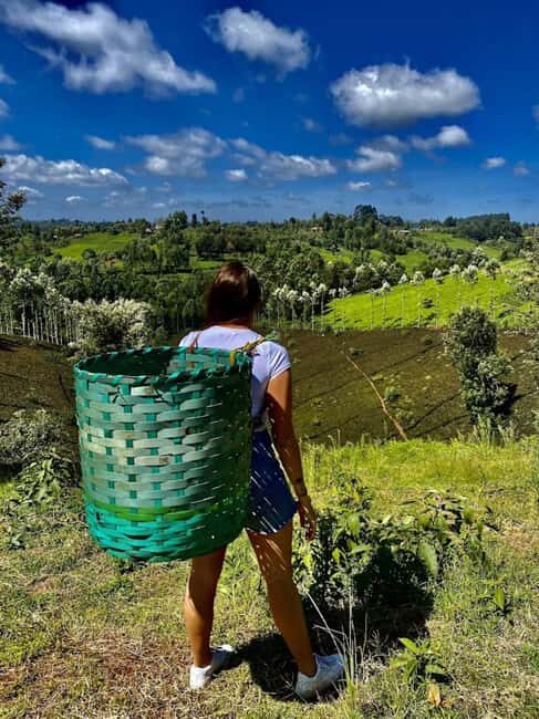Nairobi: Purple Tea Farm Gatura Greens Day Trip - A Closer Look at the Tour Itinerary