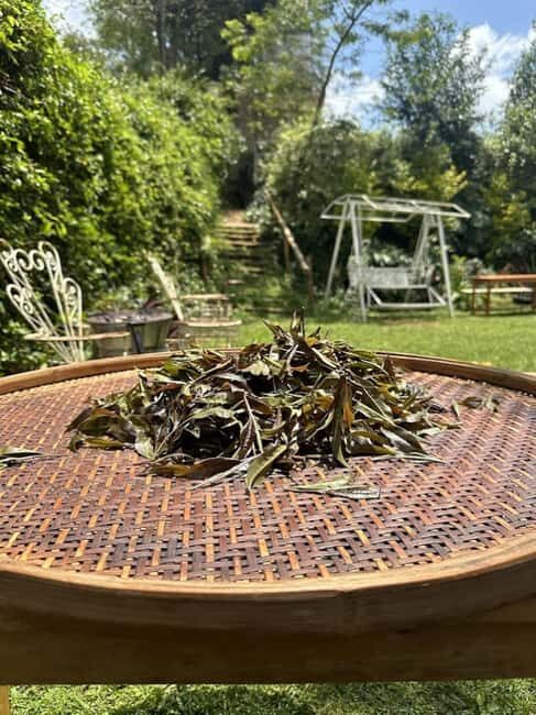 Nairobi: Purple Tea Farm Gatura Greens Day Trip - Who Will Enjoy This Tour?