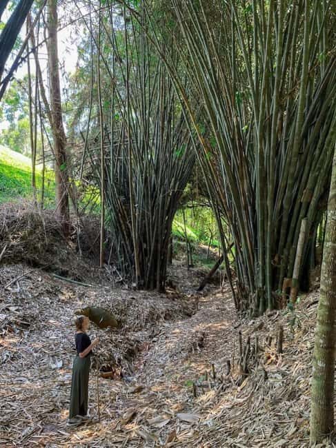Nairobi: Purple Tea Farm Gatura Greens Day Trip - FAQs