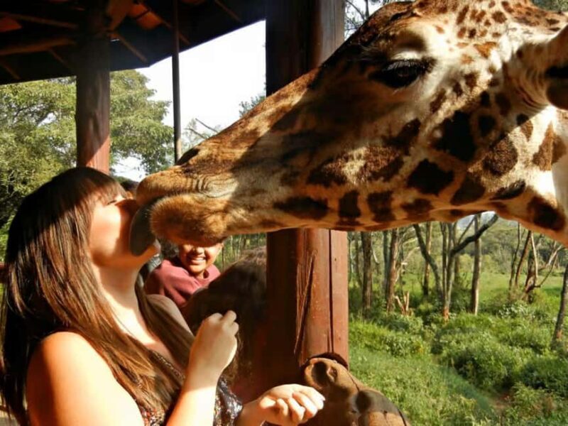 Nairobi: Safari Walk and Giraffe Center Day Tour - Key Points