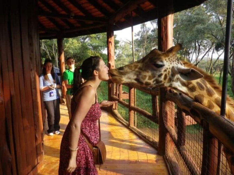 Nairobi: Safari Walk and Giraffe Center Day Tour - Exploring Nairobi’s Wildlife and Conservation: A Detailed Look