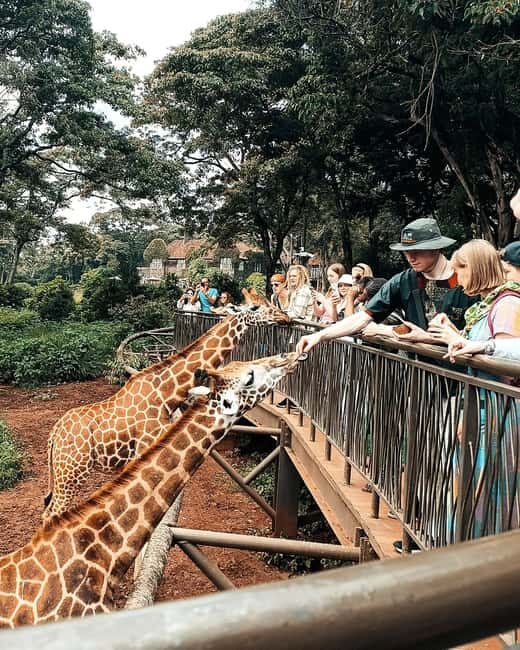 Nairobi Safari:National Park, Elephants &Giraffes GuidedTour - Key Points
