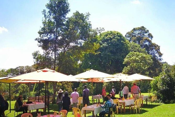 Nairobi to Kiambethu Tea Farm Tour - Why This Tour Offers Great Value