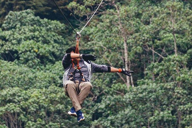 Nairobi Zip Lining Adventure Experience - Is It Worth the Price?