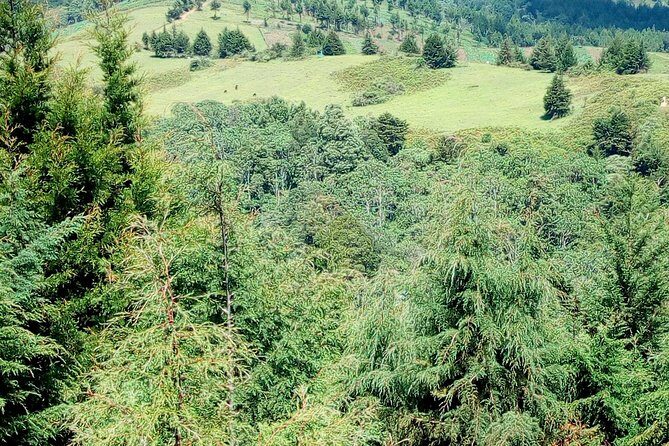Nairobi Zip Lining Adventure Experience - Who Should Consider This Tour?