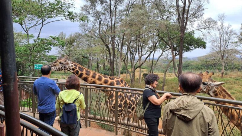 Nairobi:David Sheldrick Elephant Orphanage & Giraffe Center - Key Points