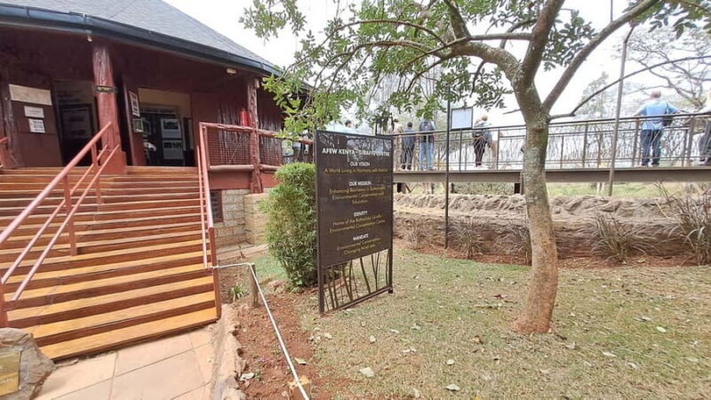 Nairobi:David Sheldrick Elephant Orphanage & Giraffe Center - Analyzing the Value