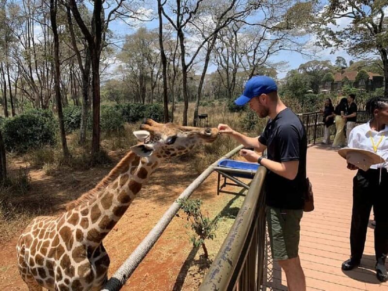 Nairobi:Giraffe Center, Baby Elephant and Beads factory Tour - Key Points  
