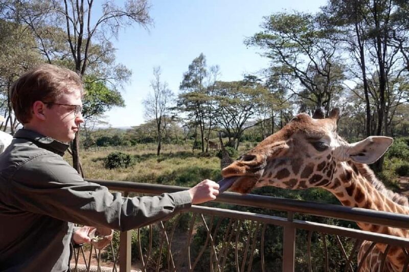 Nairobi:Giraffe Center, Baby Elephant and Beads factory Tour - Overview of the Tour Experience