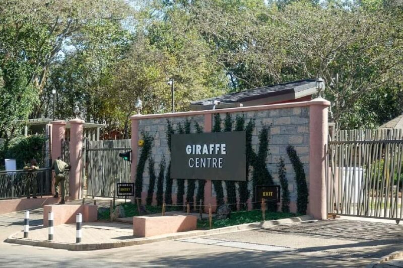 Nairobi:Giraffe Center, Baby Elephant and Beads factory Tour - Who Will Love This Tour?