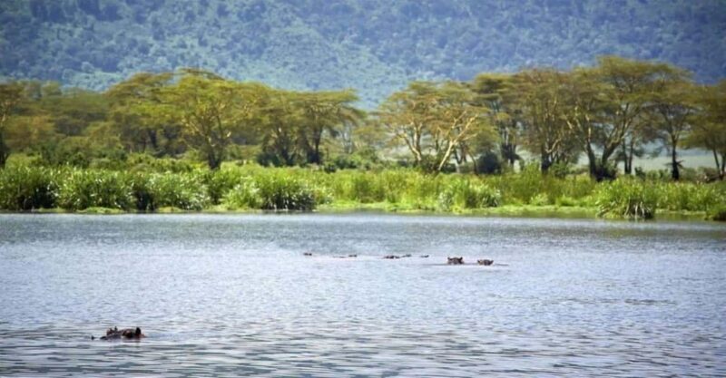 Nairobi:Group Hell's Gate National Park & Lake Naivasha Tour - What’s Included and What’s Not